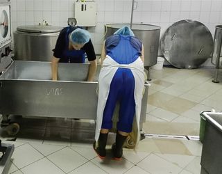 «Аверса-Україна» планує виробляти молоко для своєї сироварні